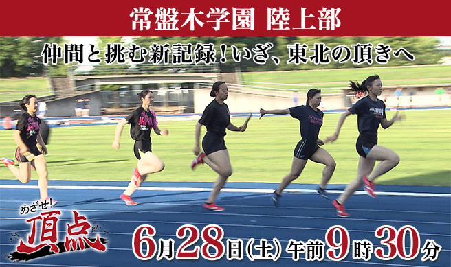 めざせ！頂点