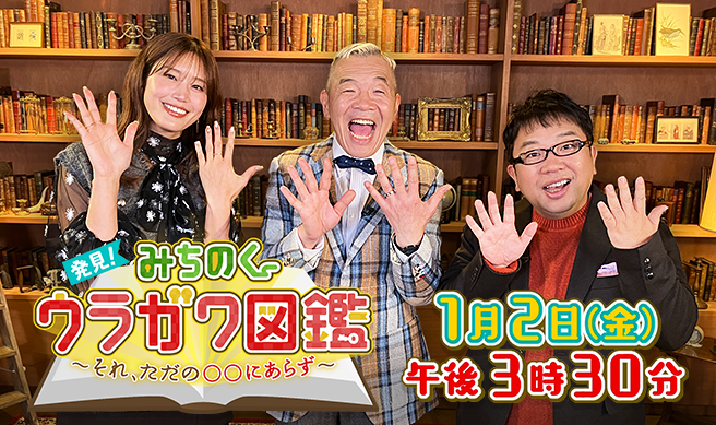 発見！みちのくウラガワ図鑑～それ、ただの○○にあらず～