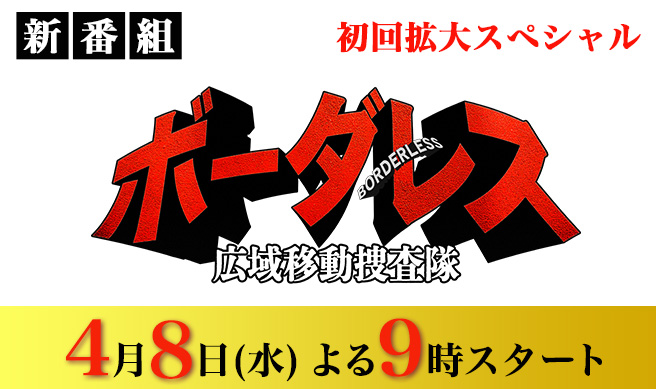 ボーダレス～広域移動捜査隊