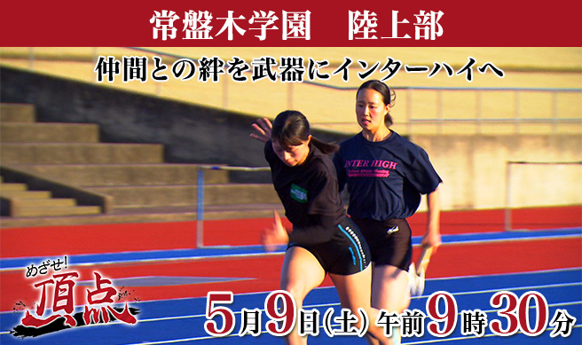 めざせ！頂点