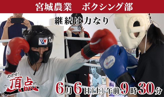 めざせ！頂点