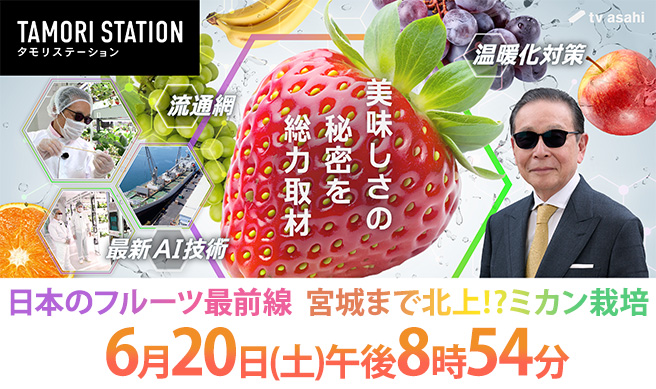 タモリステーション