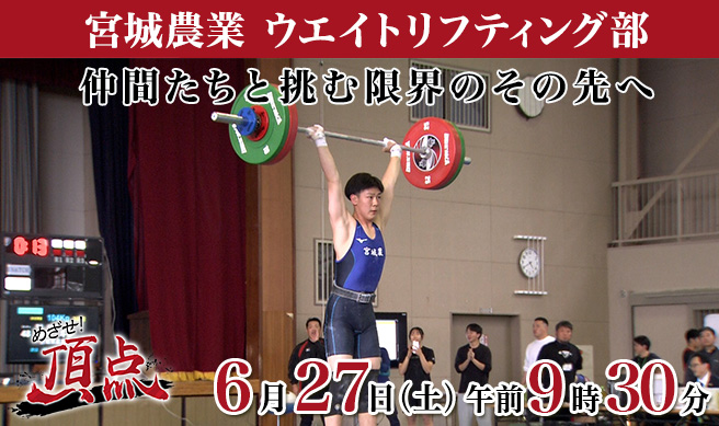めざせ！頂点