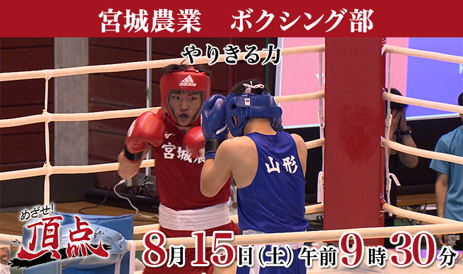 めざせ！頂点