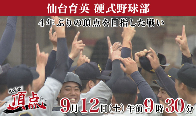 めざせ！頂点