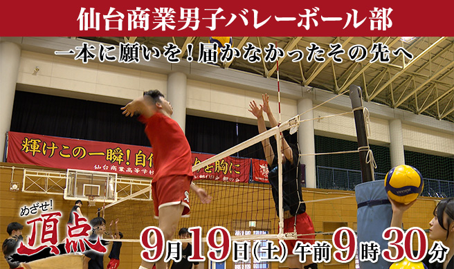 めざせ！頂点