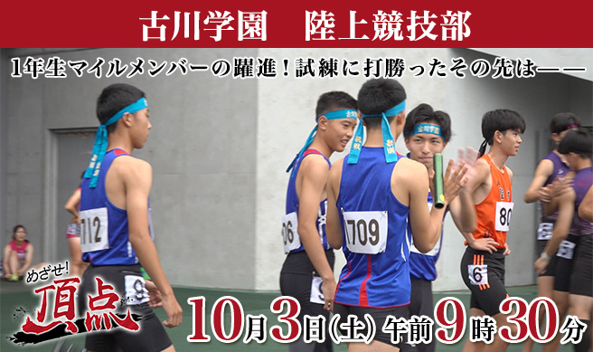 めざせ！頂点
