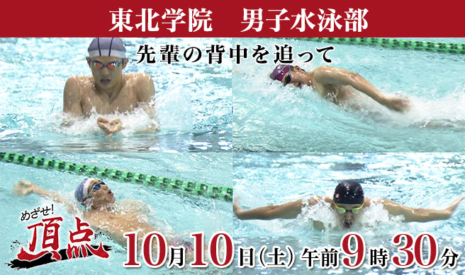 めざせ！頂点