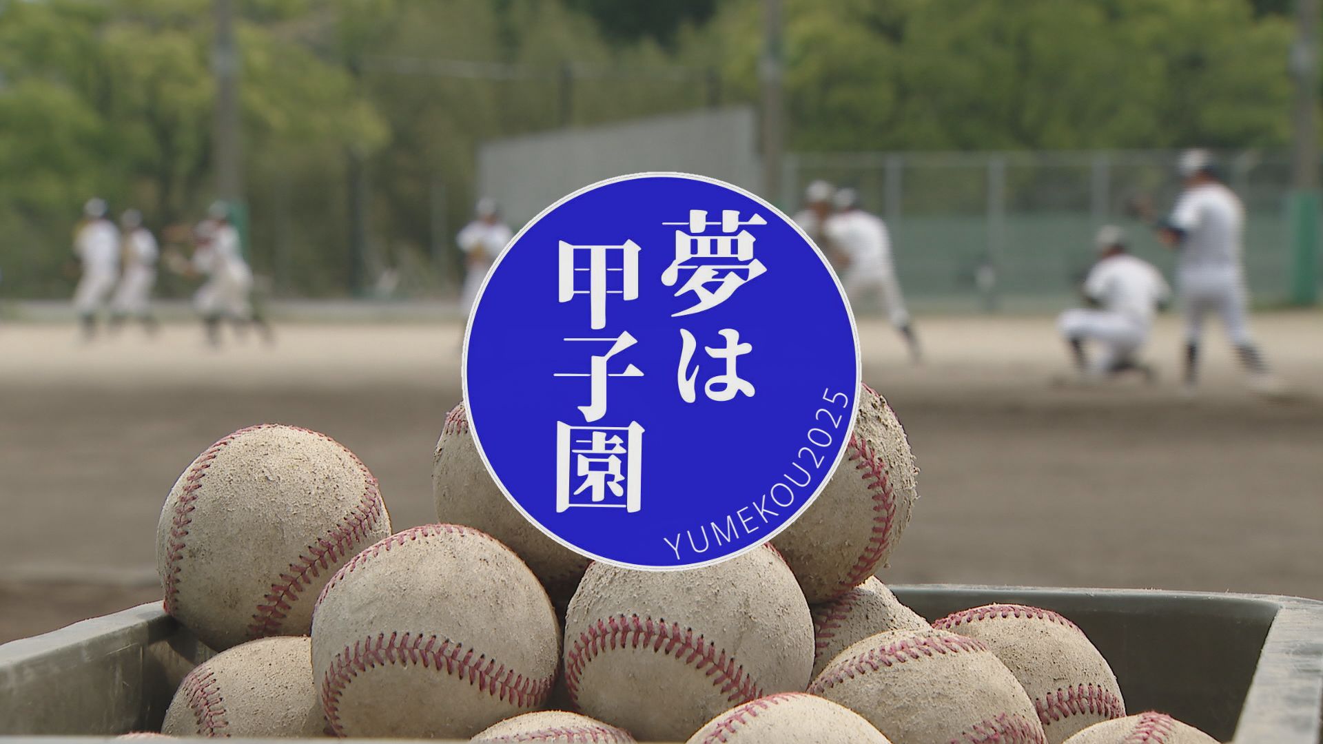 夢は甲子園