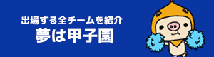 夢は甲子園
