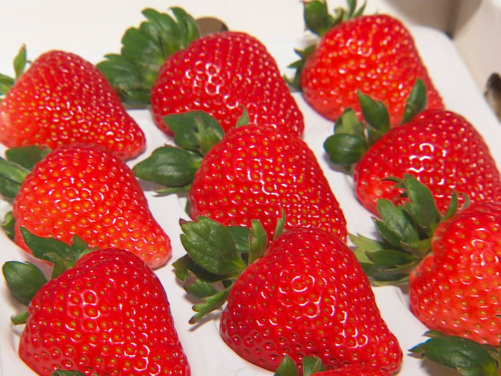 大粒のいちご
