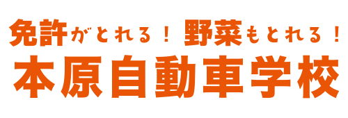 地鶏炭火焼きWAHAHA