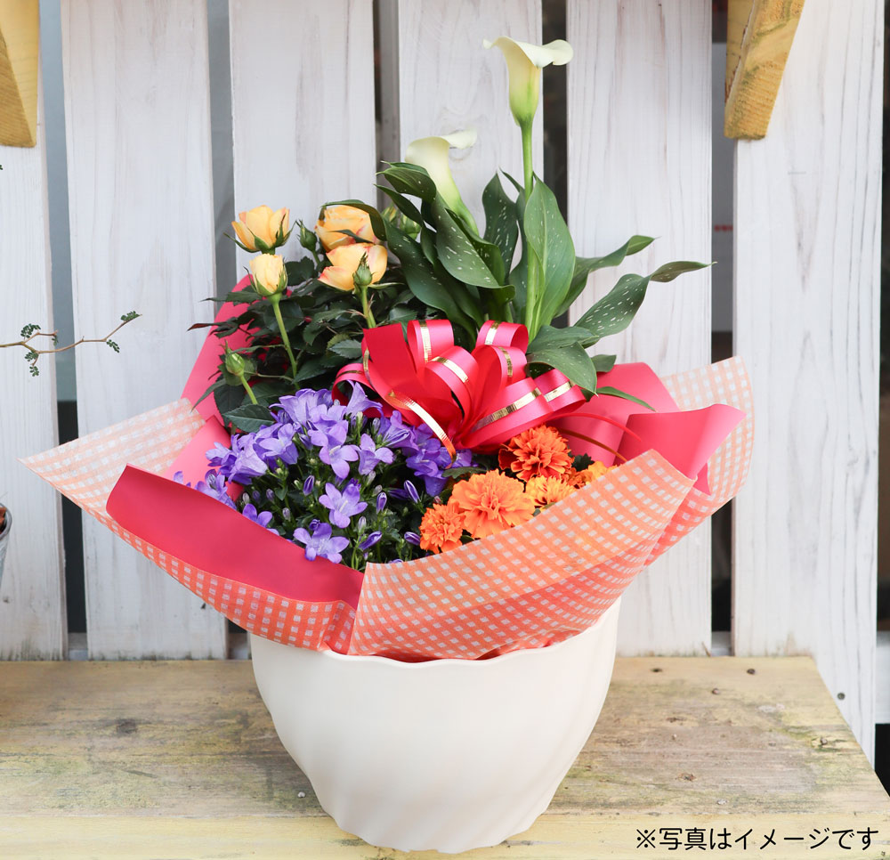 プレゼントキャンペーン