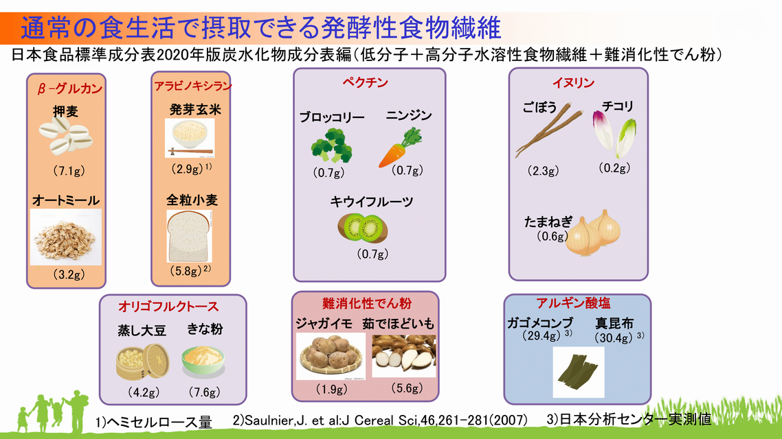 いま注目される発酵性食物繊維とは？ セミナーで内藤裕二教授、青江