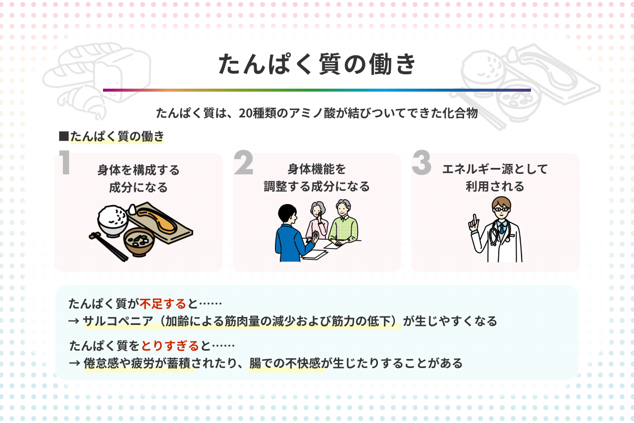 最高のタンパク質源