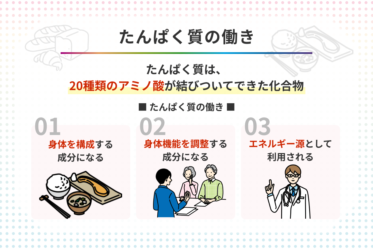 たんぱく質の働きは? 不足・過剰によるリスクや摂取の基本知識も紹介