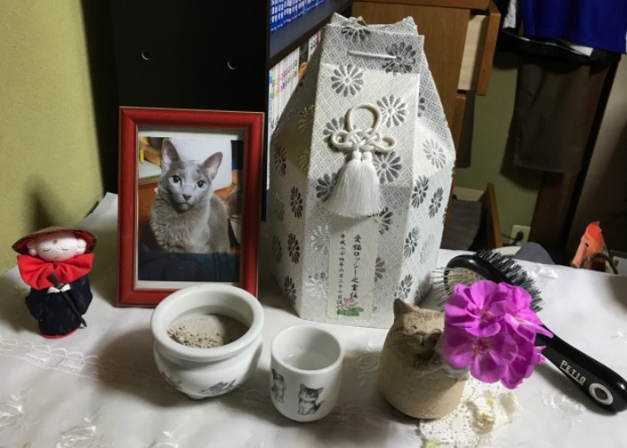 居間のロッシ―の遺影と遺骨。克也さんの家では月命日の22日の夕食はロッシ―の好物「鮭」と決めている