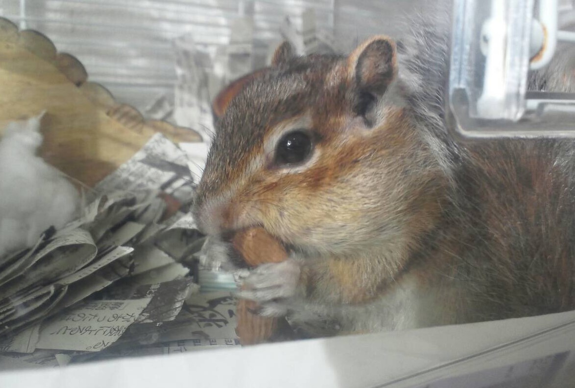 「顔が割と可愛い？そう騒ぐなって」