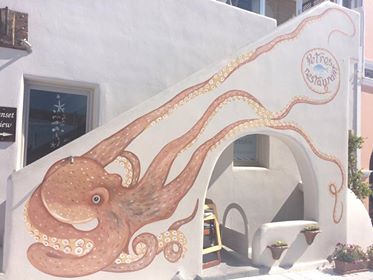 猫階段ならぬ、タコ階段！！