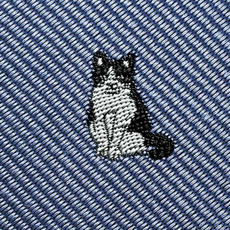 クールなハチワレ