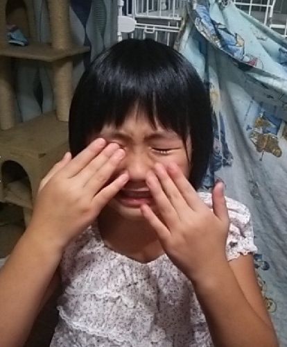 猫は親友 ９歳の 猫保護活動 少女が思い描く大きな夢 犬 猫との幸せな暮らしのためのペット情報サイト Sippo