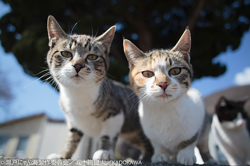 撮影・五十嵐健太
