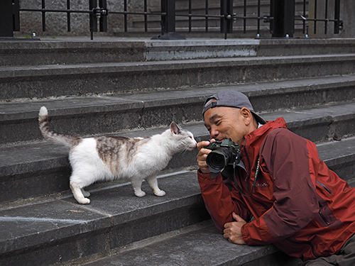 (c) Iwago Photographic Office