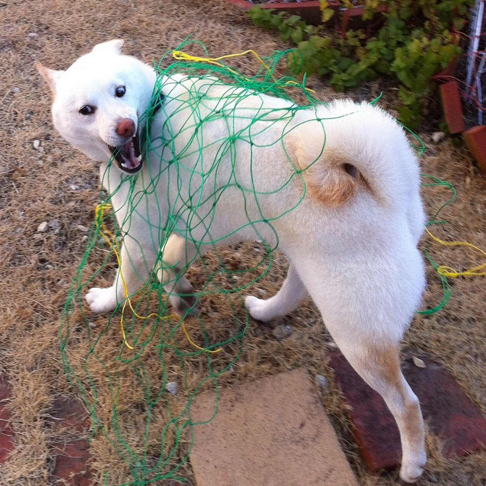 だけどまぁ、こんな顔することもあるよね。必死だったりするとね。