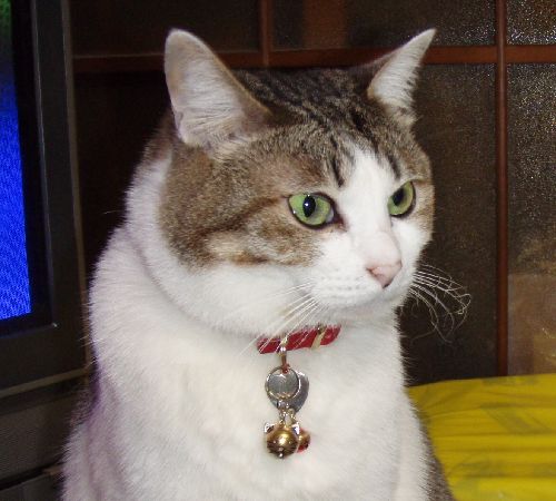 ふくよかで母性に満ちていた若い頃