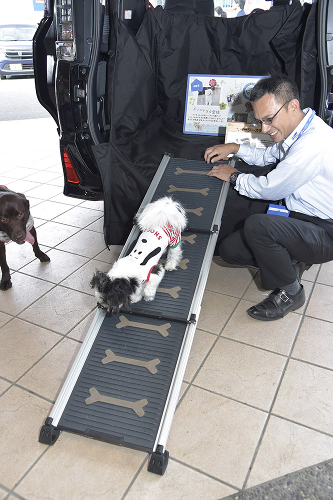 わんちゃんの乗り降りに便利なイージーステップ