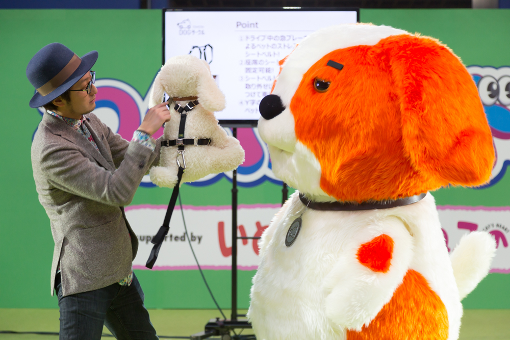 愛犬の命を守る犬用シートベルトの紹介も。