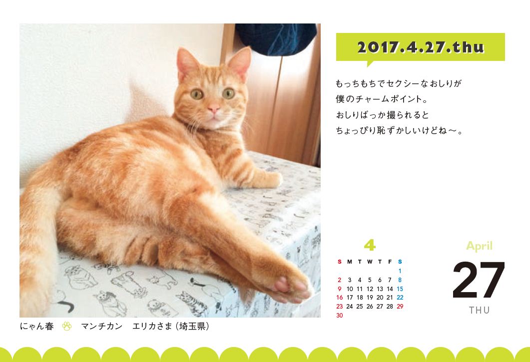 おしりがチャームポイント