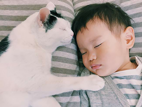 「ザクロとたい」から　（ぴあ／もりもとりえ）