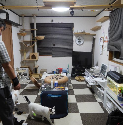 居間の左右にキャットウオーク、中央に橋