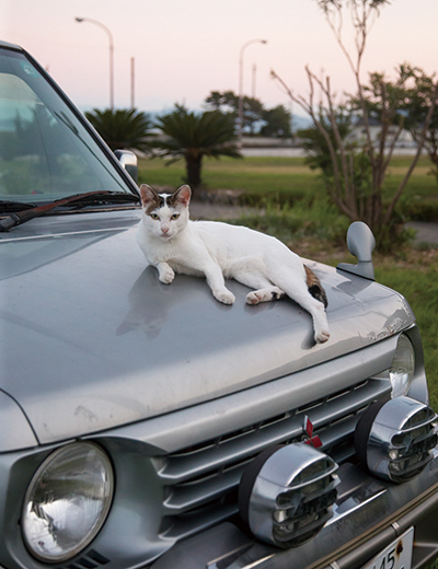 染まりゆく空を背景に、アンニュイに決める
