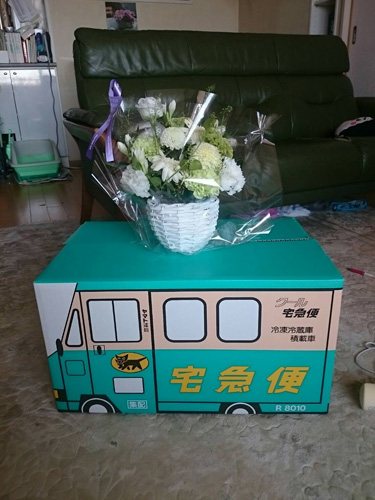 ソマを送り出すとき、「天国へ無事旅立てるように」と、猫ちゃんの宅急便の箱に入れた