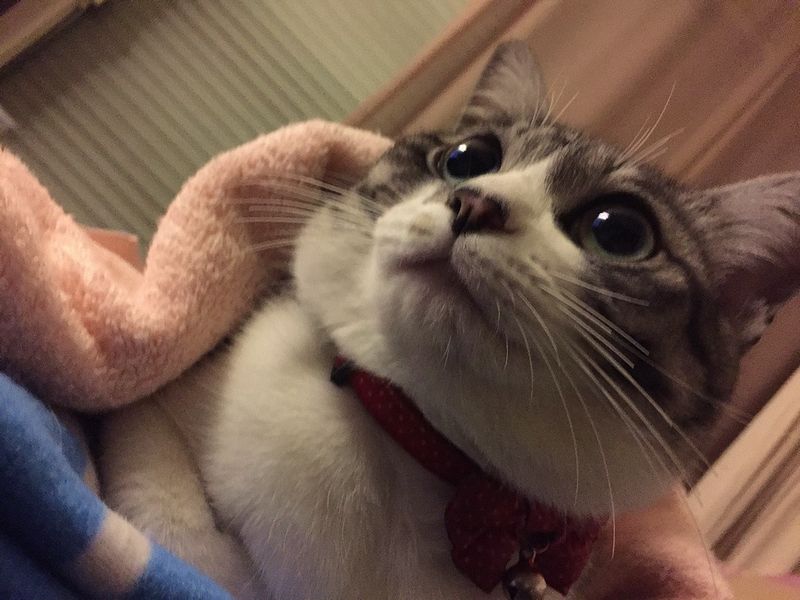 むっちりＫちゃん