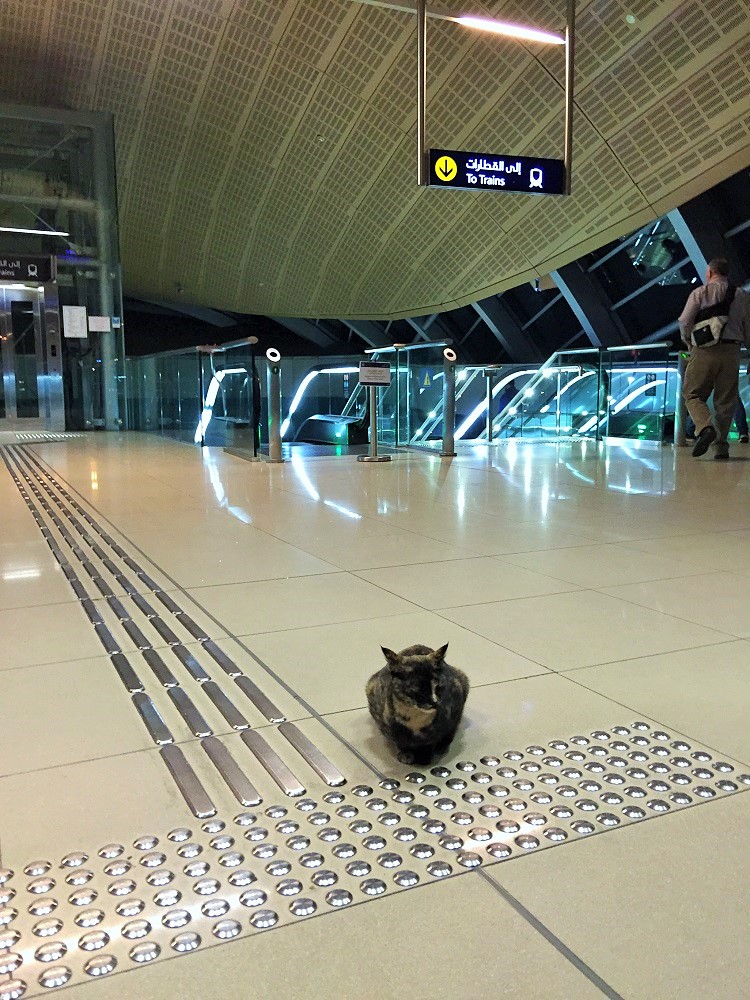 「なんか文句ある？」的な…