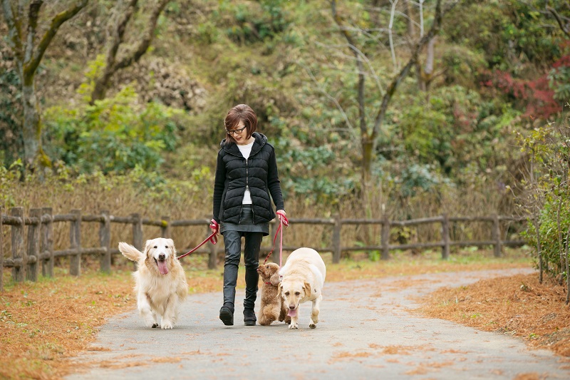 秋川渓谷の自然の中をみんなでお散歩。歩くだけで気持ちよさそう