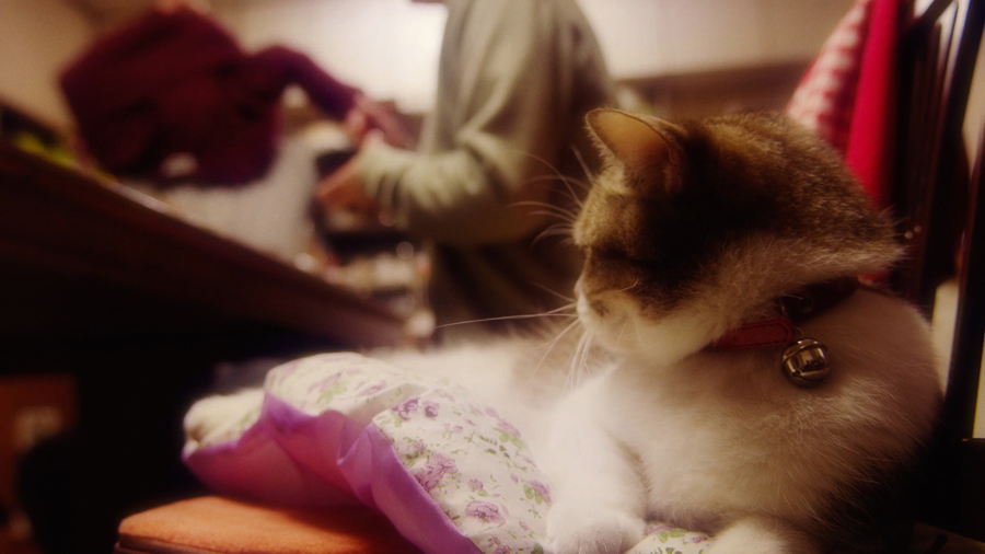 三菱電機「ニクイねぇ！シアター」 第3弾「Father」より