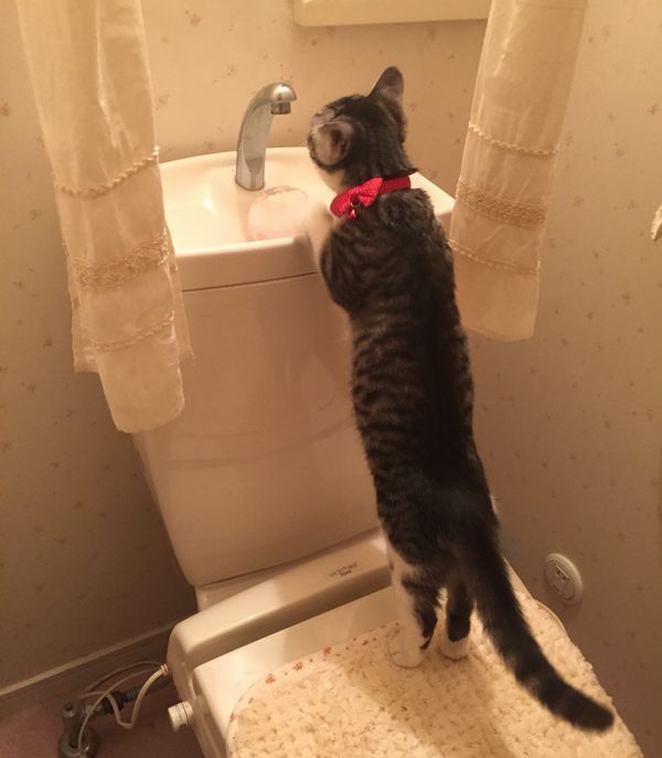 まだ細かった頃のＫちゃん