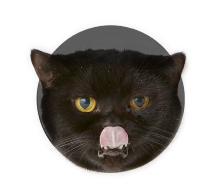 泥がついても転がれぬものよりも幅が利く。