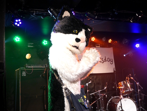 観にきた中高年男性は「コミックバンドが好きで興味を持ったけど、歌がいい、奥深い」と絶賛