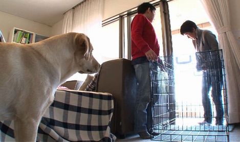 片づけられるハウスを見つめるサンディ