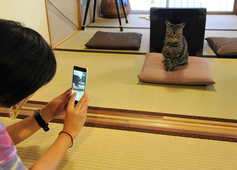 お客さんの前でポーズを取る「ちびこ」