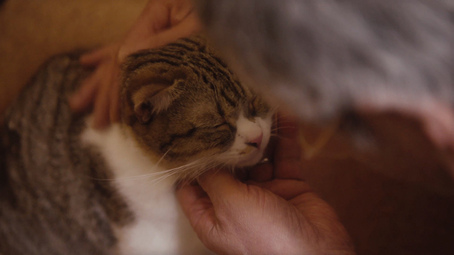 三菱電機「ニクイねぇ！シアター」 第3弾「Father」より