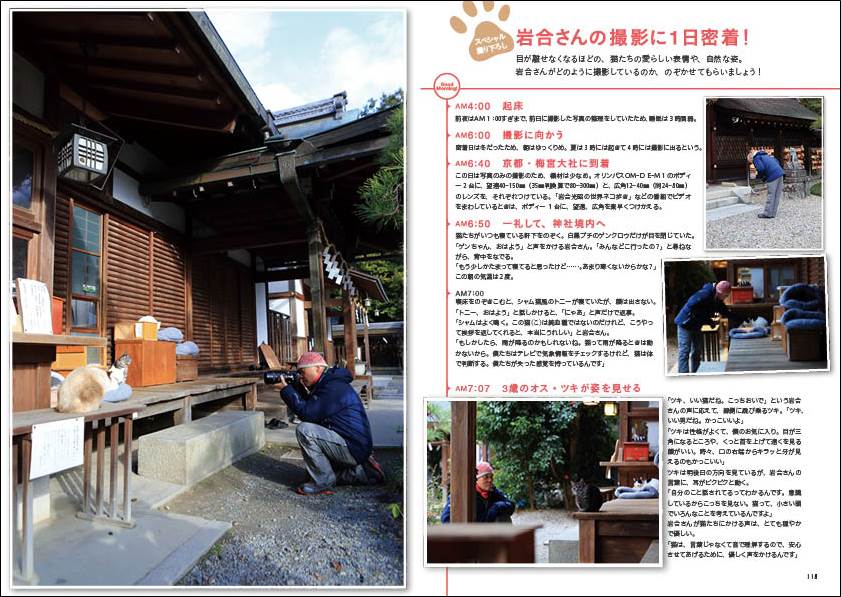 「世界のねこみち」から