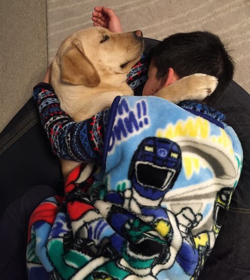 龍大君と抱き合って眠る。冬場はあったかくて最高