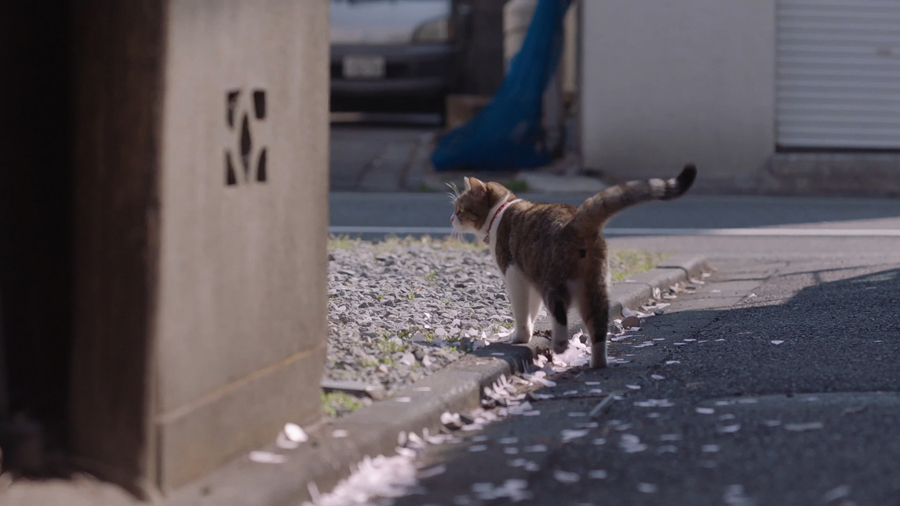 三菱電機「ニクイねぇ！シアター」 第3弾「Father」より