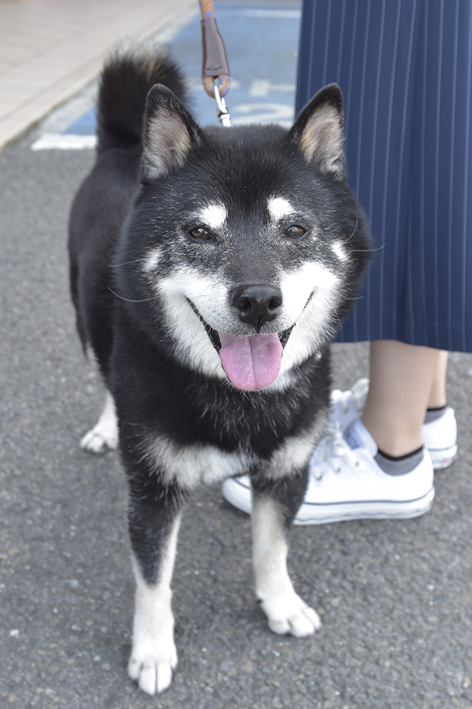 カメラ目線をくれたかわいい姿をパシャリ